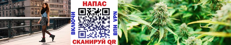 Бошки марихуана конопля  Купить закладки  Югорск 